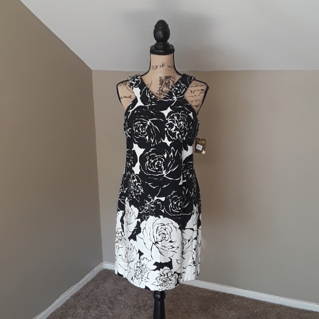 Taylor Sleeveless Floral Textured Dress